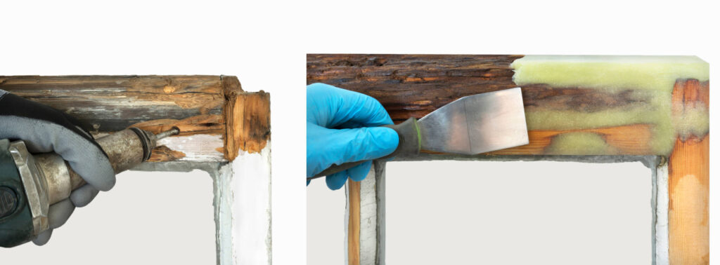 Window rot repair Bristol